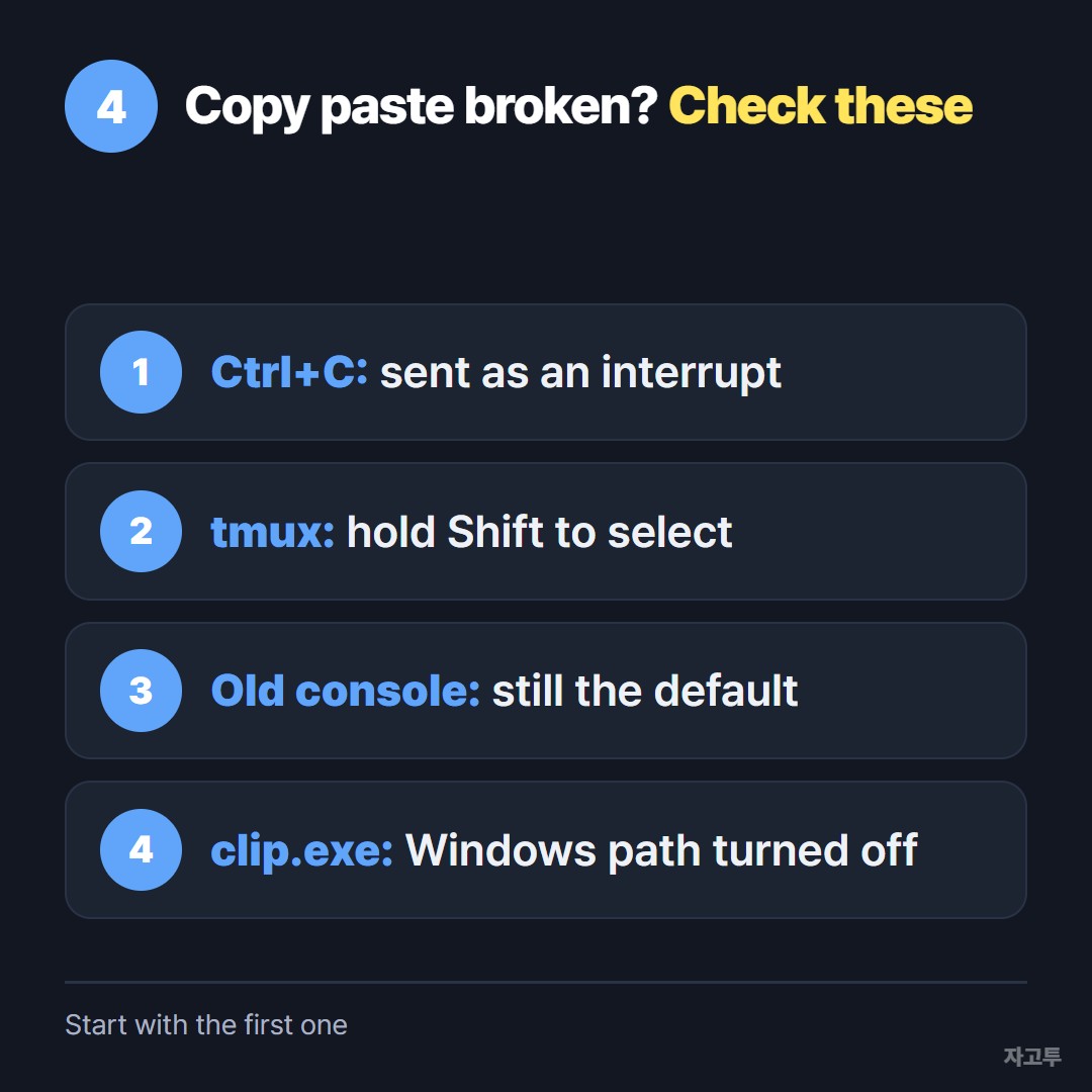 Checklist of common causes when copy paste fails in WSL